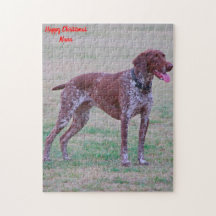 Perro Pointer Alemán.