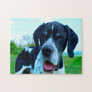 Puzzle Perro Pointer Inglés.