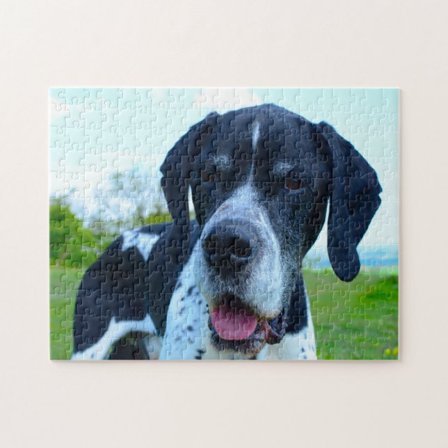 Puzzle Perro Pointer Inglés. (Horizontal)