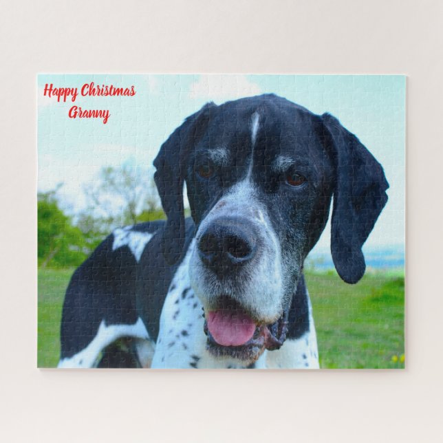 Puzzle Perro Pointer Inglés. (Horizontal)