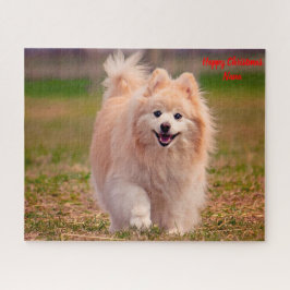 Puzzle Perro Pomerania.