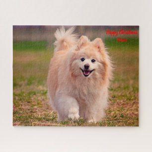 Puzzle Perro Pomerania.