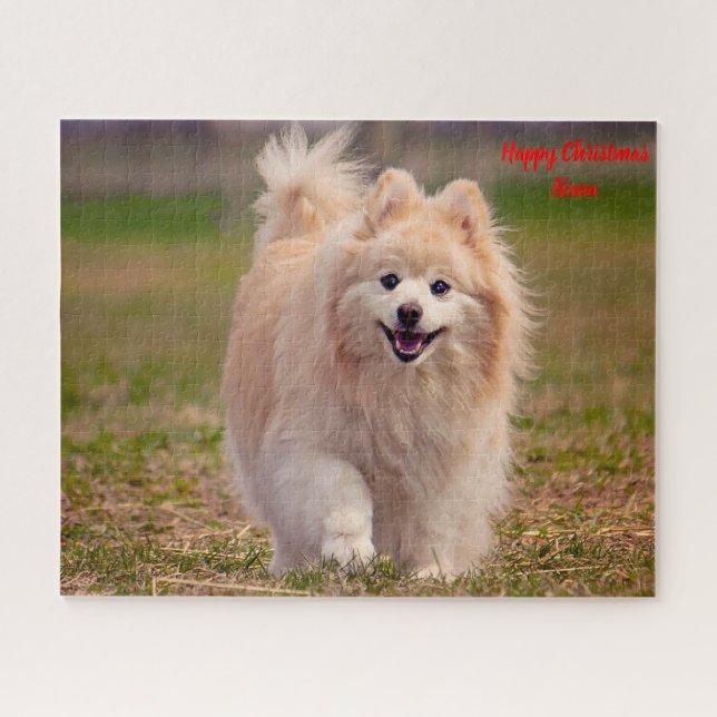 Puzzle Perro Pomerania. (Horizontal)