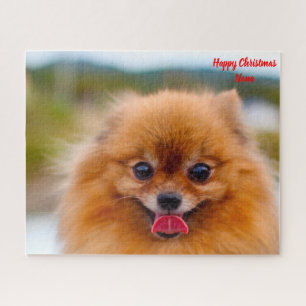 Puzzle Perro pomerania.