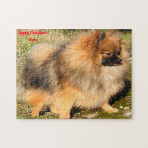 Puzzle Perro Pomerania.