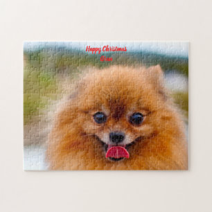 Puzzle Perro Pomerania.