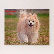 Perro Pomerania.