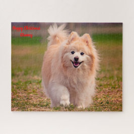 Puzzle Perro Pomerania.