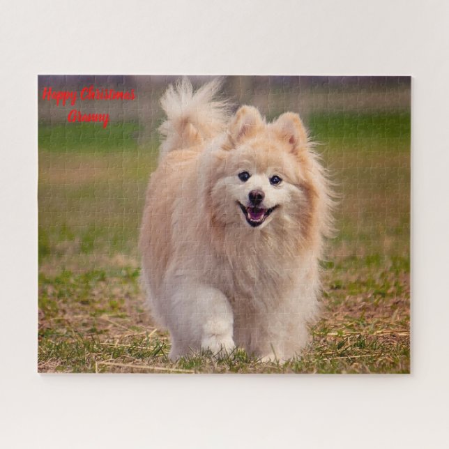 Puzzle Perro Pomerania. (Horizontal)
