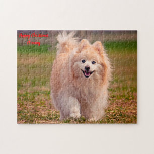 Puzzle Perro Pomerania.