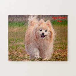 Puzzle Perro Pomerania.