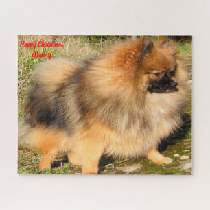 Puzzle Perro pomerania.
