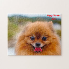 Puzzle Perro Pomerania.