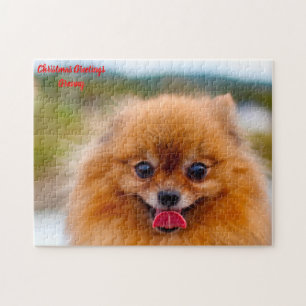 Puzzle Perro Pomerania.