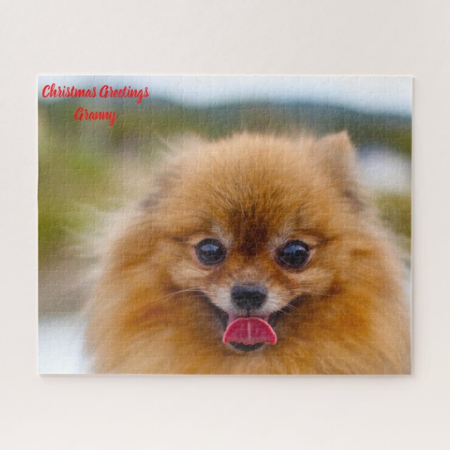 Puzzle Perro Pomerania. (Horizontal)