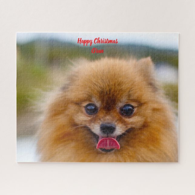 Puzzle Perro Pomerania. (Horizontal)