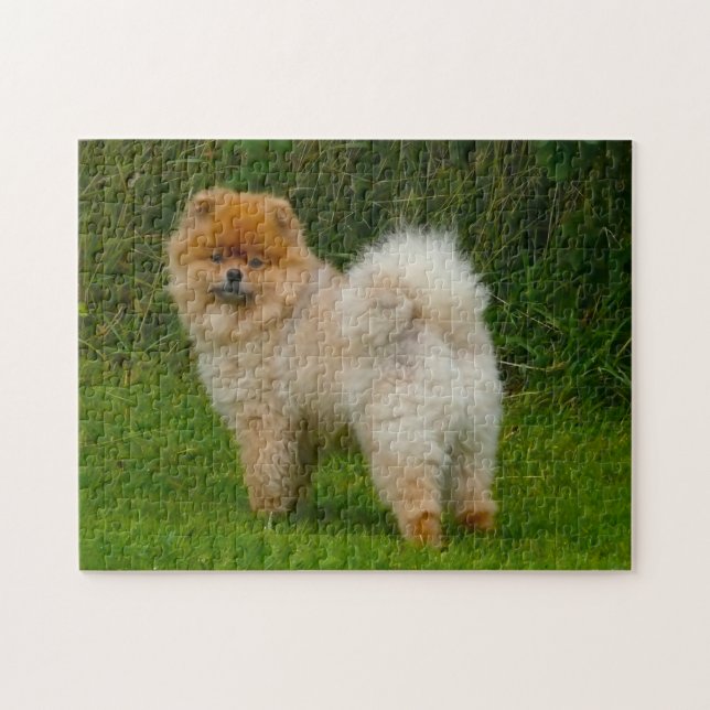 Puzzle Perro Pomerania Spitz Enano. (Horizontal)