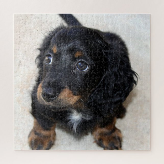 Puzzle Perro porcino de Dachshund negro (Vertical)