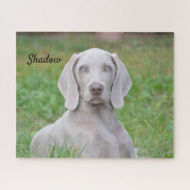 Puzzle Perro porcino de Weimaraner personalizado (Horizontal)