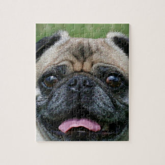 Puzzle Perro Pug