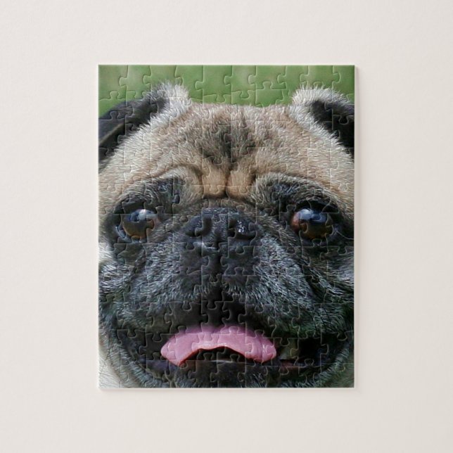 Puzzle Perro Pug (Vertical)