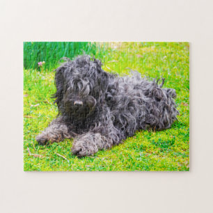 Puzzle Perro Puli Húngaro.