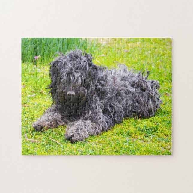 Puzzle Perro Puli Húngaro. (Horizontal)