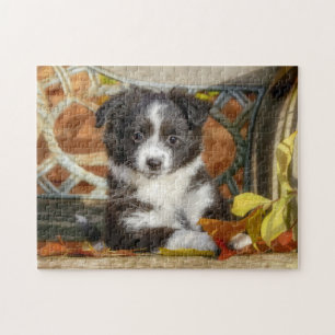Puzzle Perro pupito bicolor pequeño australiano -