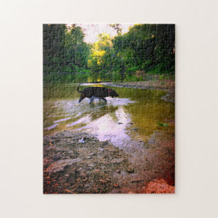 Puzzle Perro que juega en el río