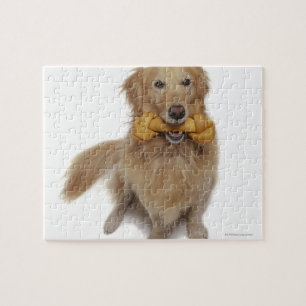 Puzzle Perro recuperador dorado sosteniendo hueso en la b