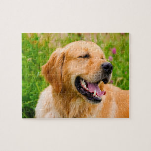 Puzzle Perro Retriever Dorado.