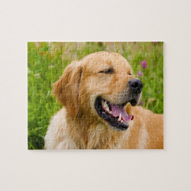 Puzzle Perro Retriever Dorado. (Horizontal)