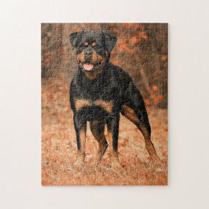 Puzzle Perro Rottweiler