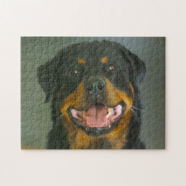Puzzle Perro Rottweiler Jigsaws. (Horizontal)