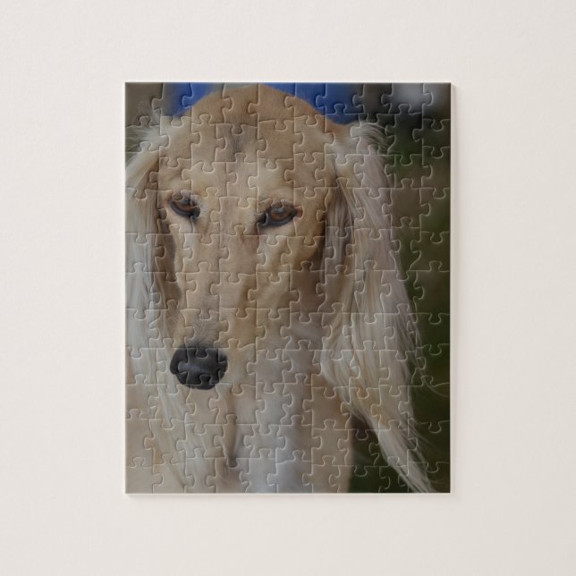 Puzzle Perro rubio de Saluki (Vertical)