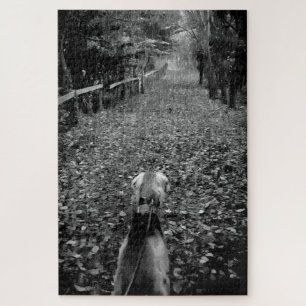 Puzzle Perro Saluki en el bosque