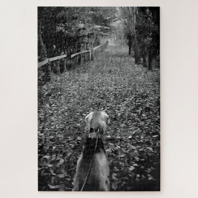 Puzzle Perro Saluki en el bosque (Vertical)