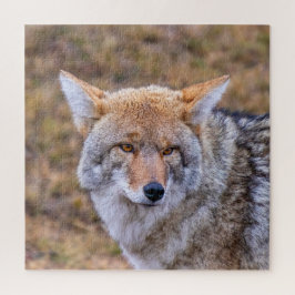 Puzzle Perro salvaje Coyote