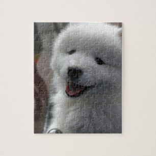 Puzzle Perro Samoyed