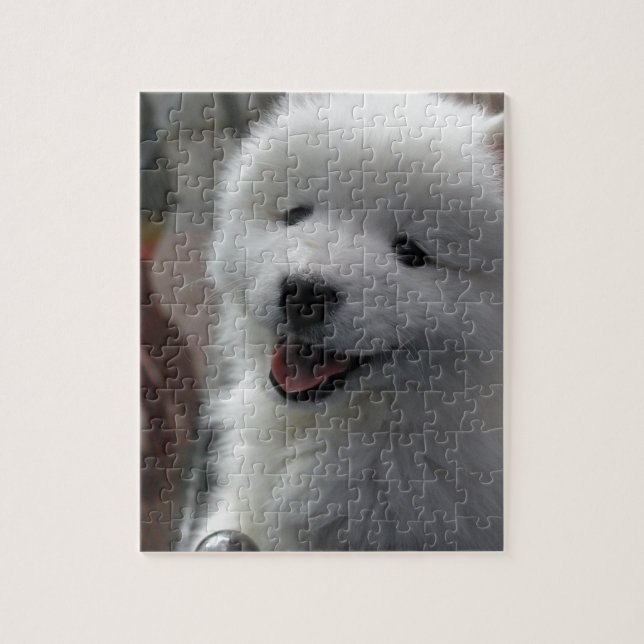 Puzzle Perro Samoyed (Vertical)