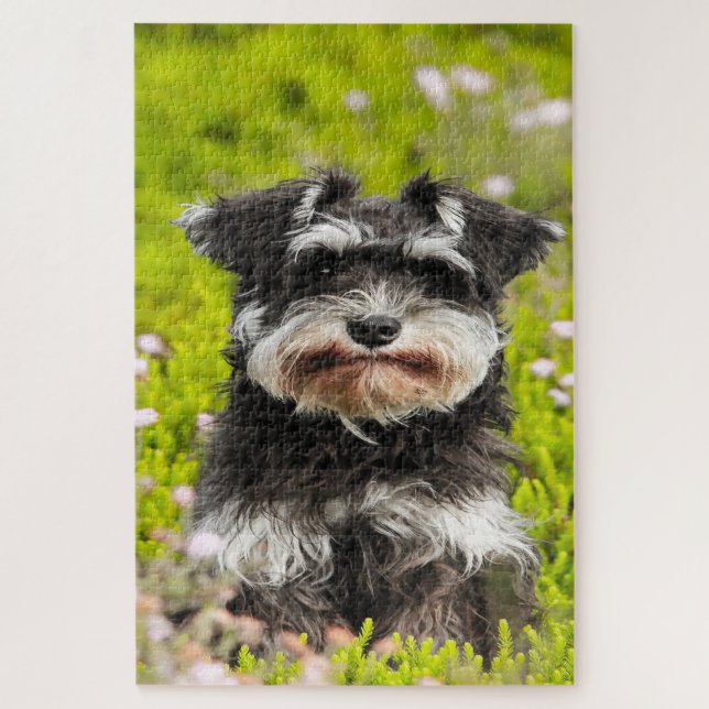 Puzzle Perro Schnauzer Jigsaws. (Vertical)