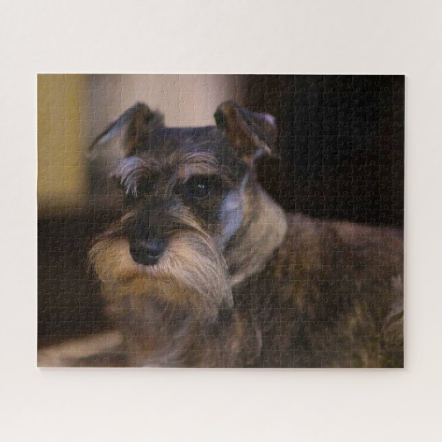 Puzzle Perro Schnauzer Jigsaws. (Horizontal)
