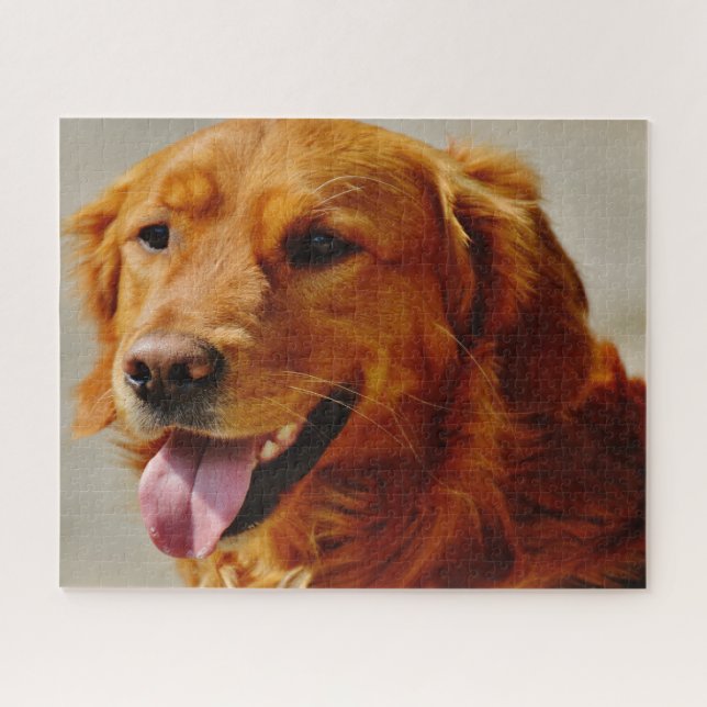 Puzzle Perro Setter Irlandés. (Horizontal)