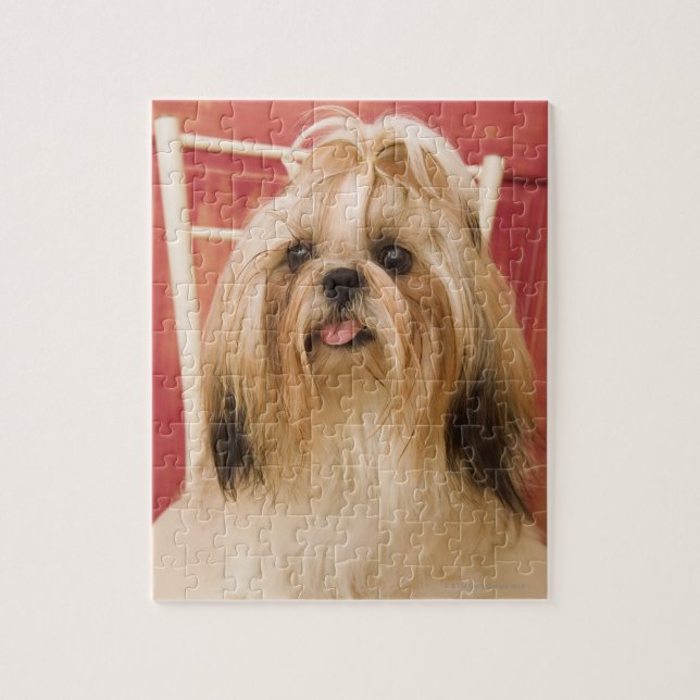 Puzzle Perro Shih-tzu (Vertical)