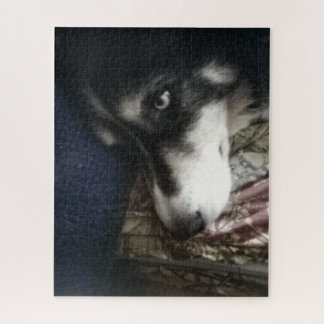 Puzzle Perro somnoliento