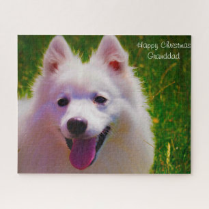 Puzzle Perro Spitz Japonés.