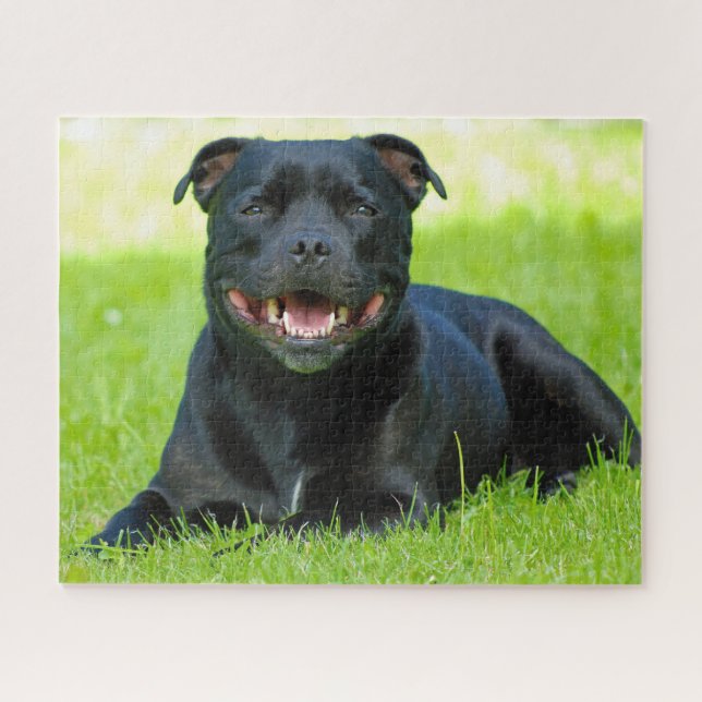 Puzzle Perro Staffordshire Bull Terrier. (Horizontal)