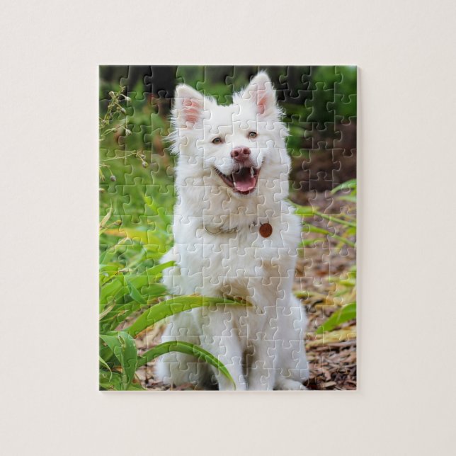 Puzzle Perro Sweet White Lapp Hund Foto de Fondo Verde (Vertical)