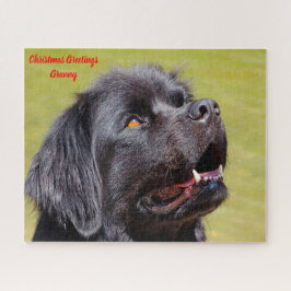 Puzzle Perro Terranova.
