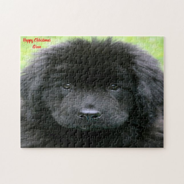 Puzzle Perro Terranova. (Horizontal)